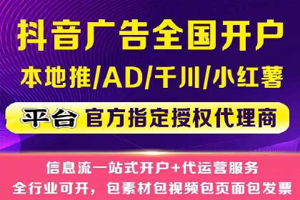行业领先企业的SEM代理案例剖析